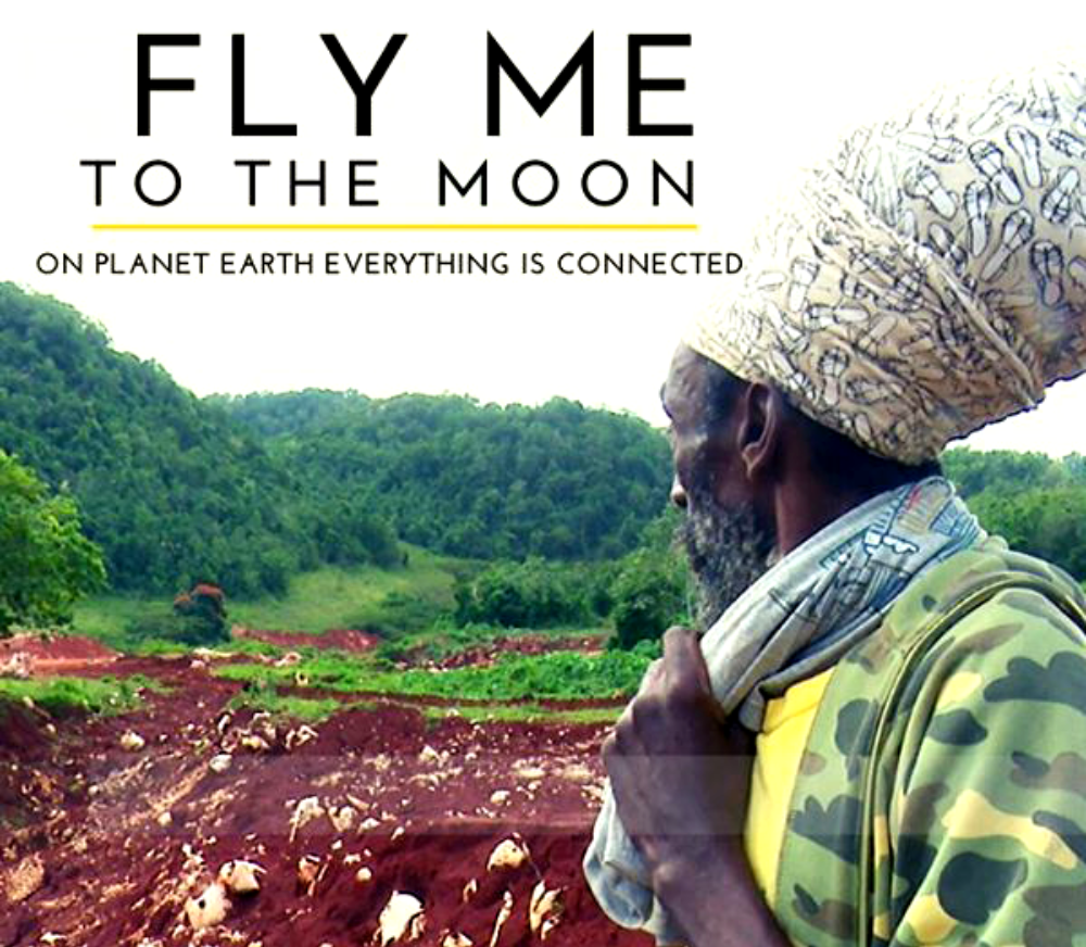 Filmposter Fly me to the Moon